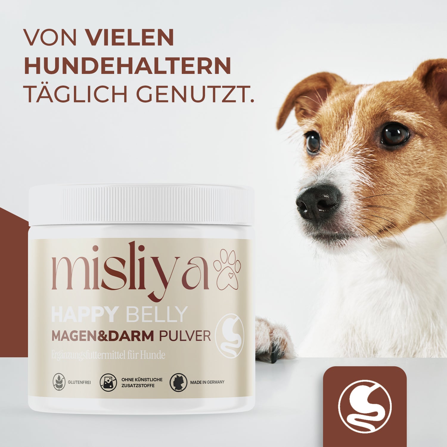 misliya Happy Belly Dose neben einem Hund – made by AI